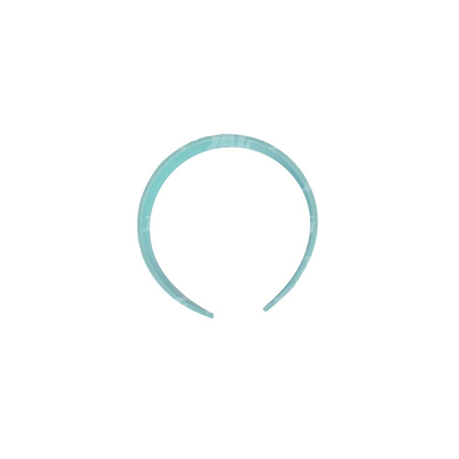 JAG09-0583  PierÅ›cieÅ„ prowadzÄ…cy