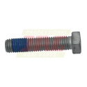 218908.0 Claas Original Screw