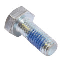 JAG08-0365 Screw