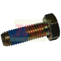 233396.01 Screw Original Claas