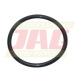 JAG08-0629 Oring