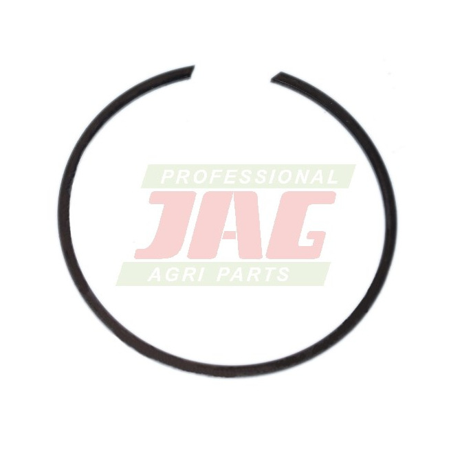 233948 PierÅ›cieÅ„ osadczy