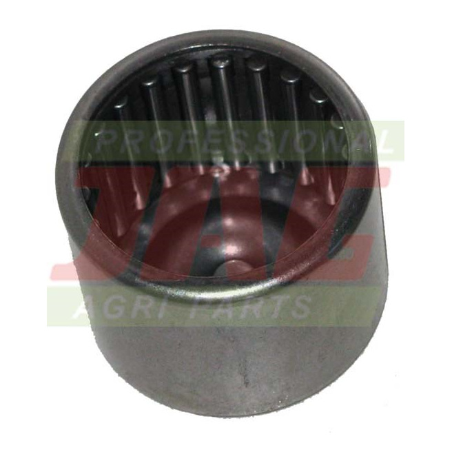 JAG07-0024 ÅoÅ¼ysko igieÅ‚kowe JHB