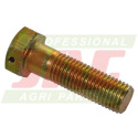 JAG06-0079 Special screw with security 16x55 class 8.8