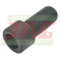237693.0 Orginal Claas screw