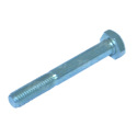 237808.0 Screw