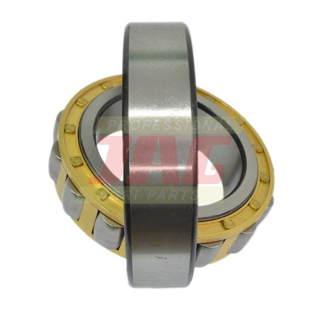 JAG07-0062 ÅoÅ¼ysko mÅ‚ocarni JHB