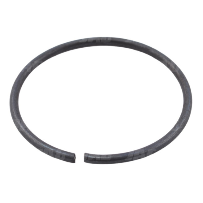 JAG08-0738 PierÅ›cieÅ„ osadczy