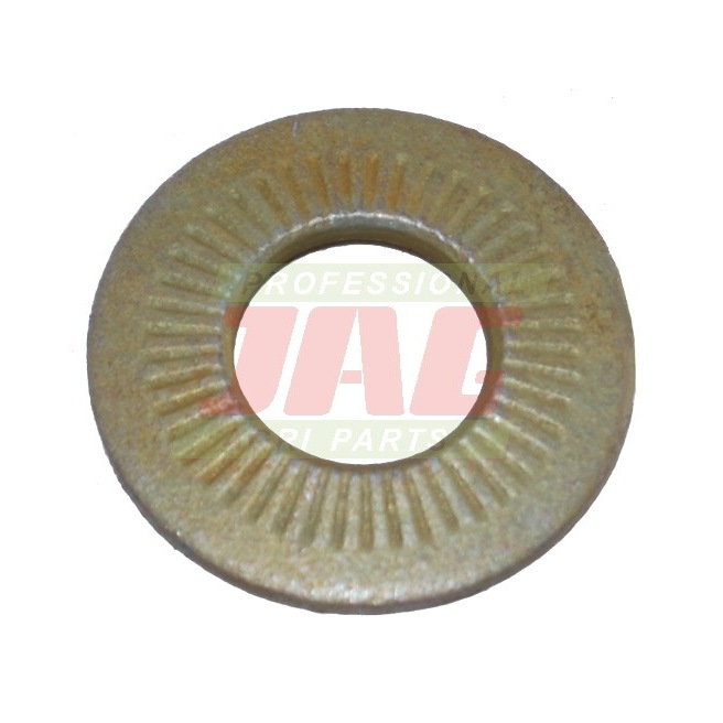 JAG08-0370 PodkÅ‚adka Å›ruby