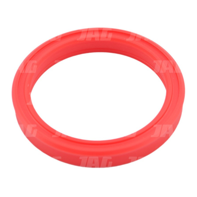 JAG08-0720 PierÅ›cieÅ„