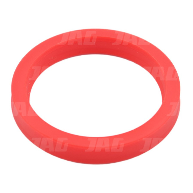 JAG08-0720 PierÅ›cieÅ„