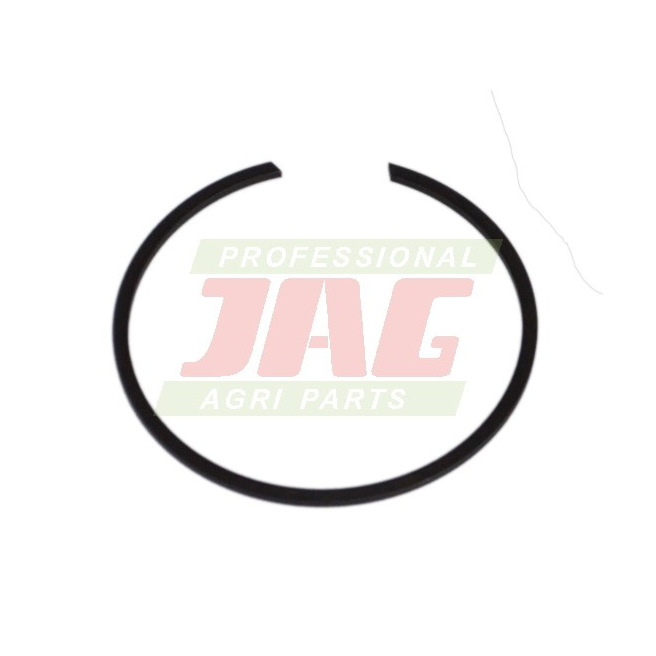 239439.01 PierÅ›cieÅ„ osadczy