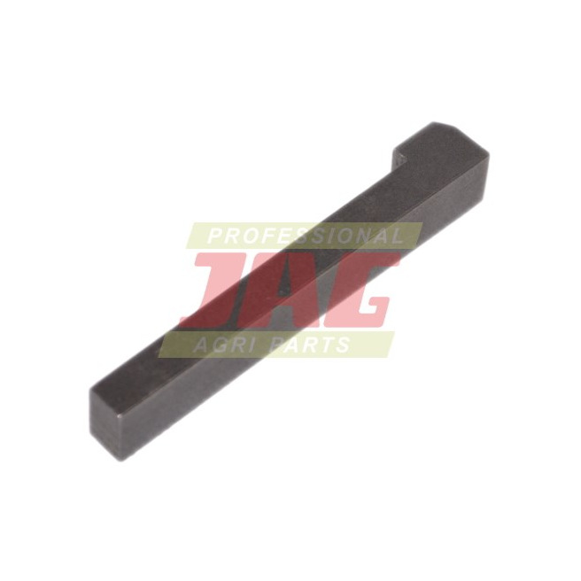 JAG08-0520 Klin noskowy