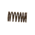 31745117 Outer valve spring