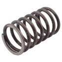 JAG99-0193 Outer valve spring