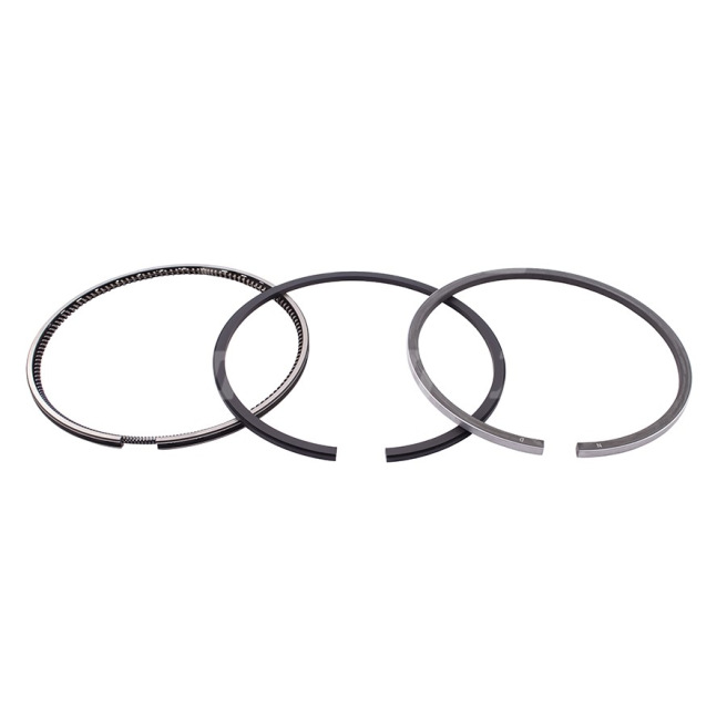 JAG99-0128 89-3614-00 PierÅ›cienie tÅ‚okowe NE Germany