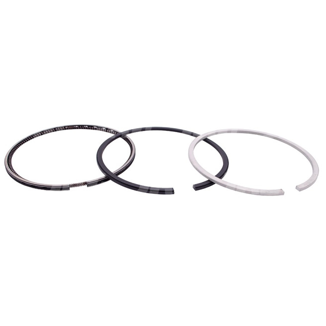 JAG99-0130 PierÅ›cienie tÅ‚okowe NE Germany