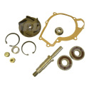 Kit de réparation de pompe à eau ENPACO JAG99-0250