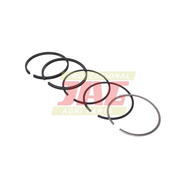 JAG99-0137 PierÅ›cienie tÅ‚okowe NE Germany