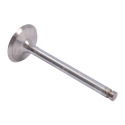 JAG99-0166 Intake valve