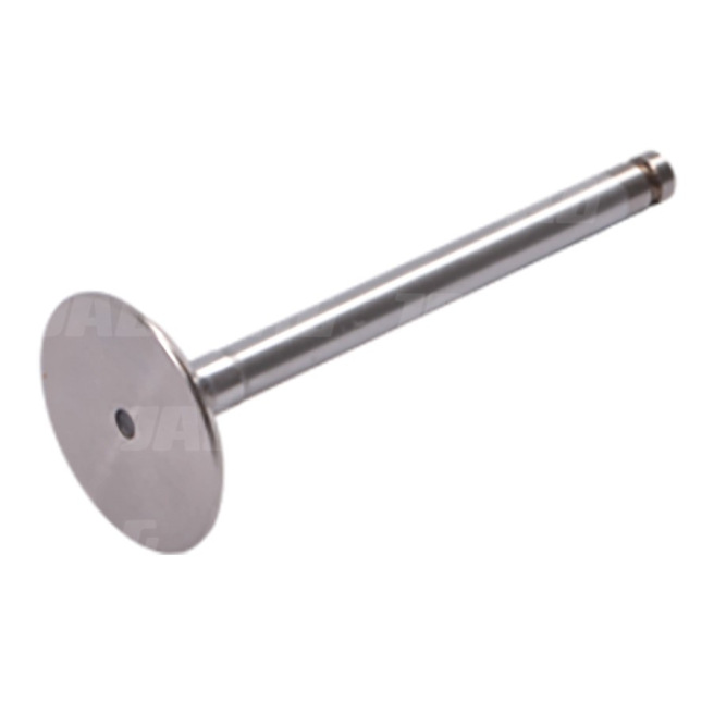 JAG99-0166 ZawÃ³r ssÄ…cy