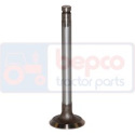 31431884 Oversize exhaust valve