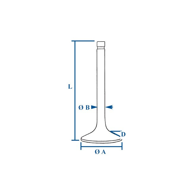 31431884 ZawÃ³w wydechowy nadwymiar