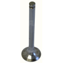 JAG99-0175 Exhaust valve 747552M1