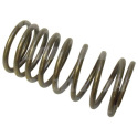 JAG99-0196 Inner valve spring 735525M1