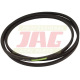 AP1000519 Pas Optibelt Agro Power