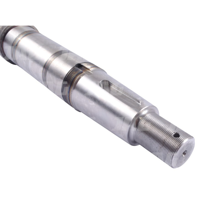 JAG06-0213 WaÅ‚ek