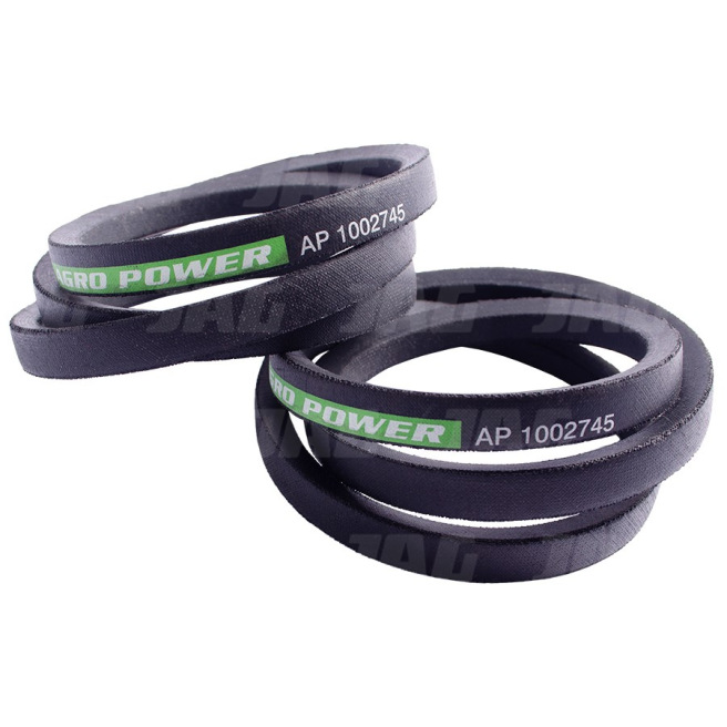 AP1002745 Pas Optibelt Agro Power (2szt.)