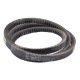 AP1003727 Pas Optibelt Agro Power