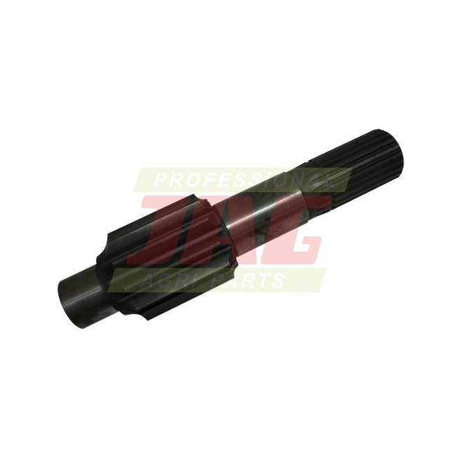 JAG06-0110 WaÅ‚ek zwolnicy