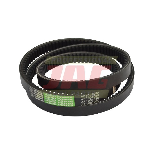 AP1001080 Pas Optibelt Agro Power