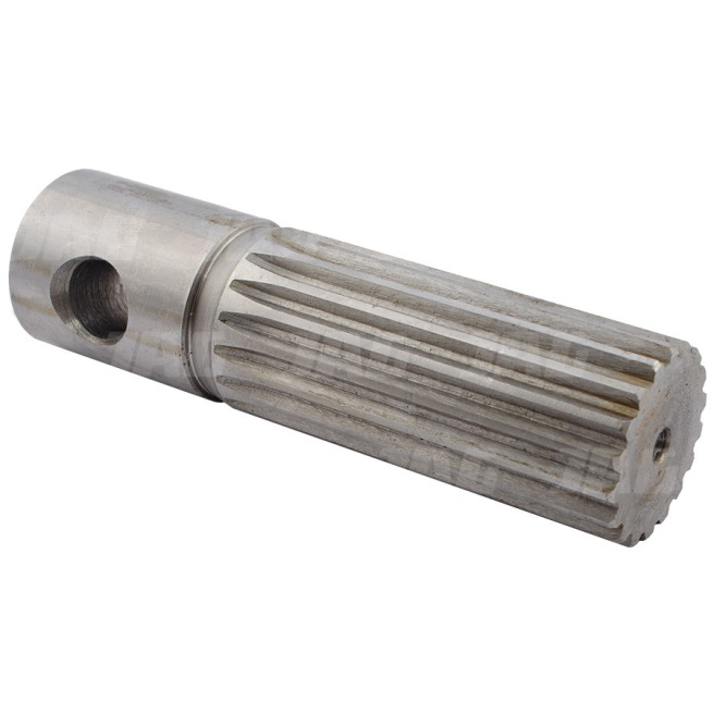 JAG04-0195 WaÅ‚ek zabieraka