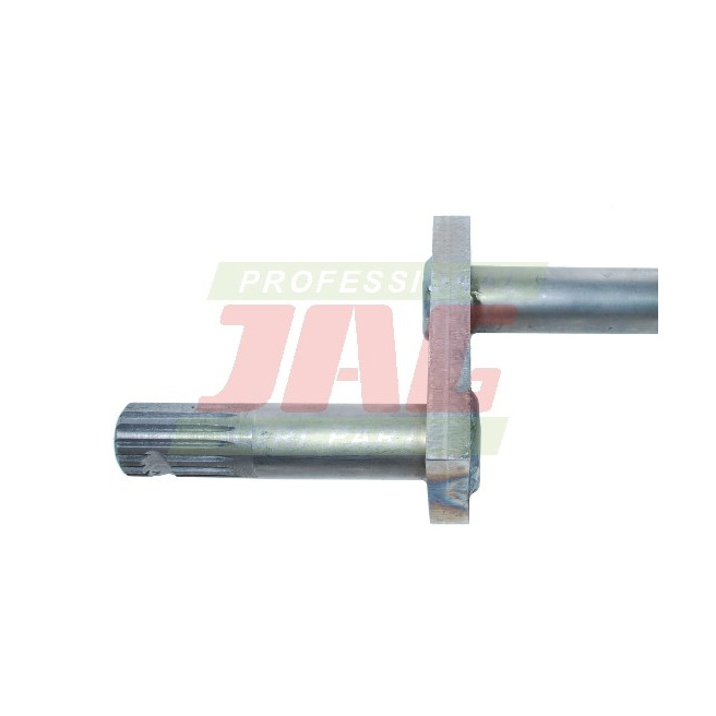 JAG02-0240 WaÅ‚ek bÄ™bna