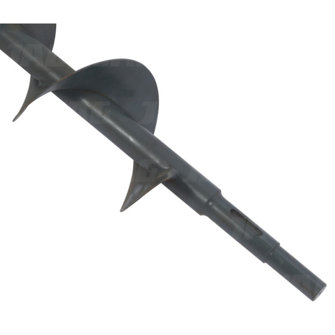 618523 PrzenoÅ›nik Å›limakowy