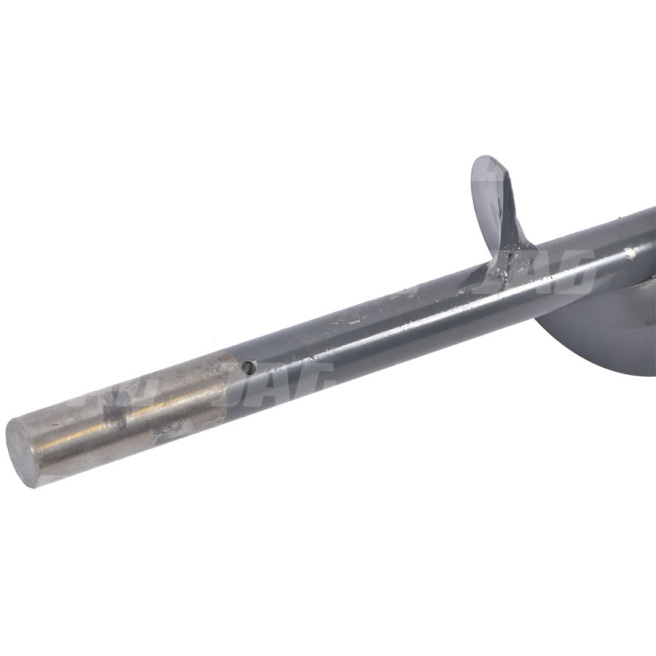 JAG04-0441 PrzenoÅ›nik Å›limakowy