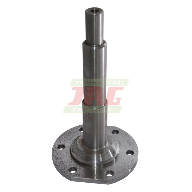 JAG02-0260 WaÅ‚ek bÄ™bna hedera