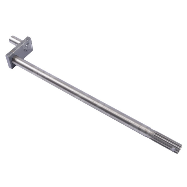 JAG02-0348 WaÅ‚ek hedera