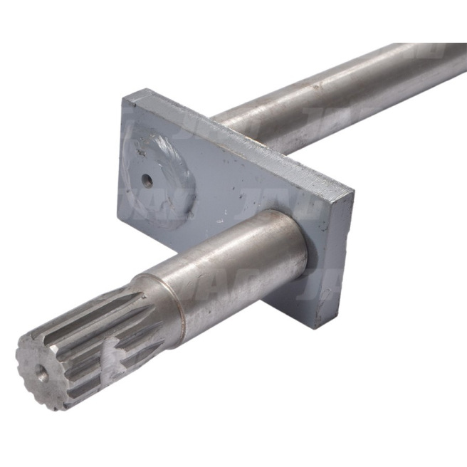 JAG02-0349 WaÅ‚ek hedera