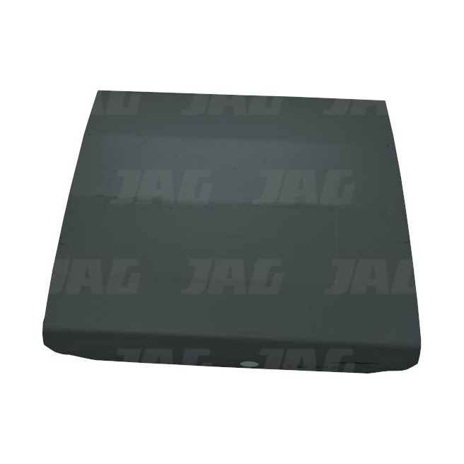 JAG02-0282 PodÅ‚oga hedera