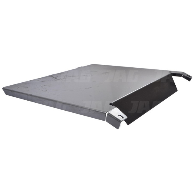 JAG05-0456 PodÅ‚oga hedera