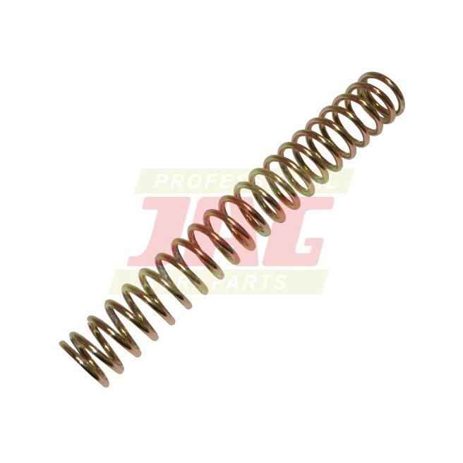 JAG04-0548 SprÄ™Å¼yna