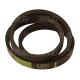 AP1002699 Pas Optibelt Agro Power