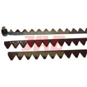 JAG01-0171 Kosa Claas 6,60 m 2 sacs sectionnels / RASSPEsections 611203 / ensemble