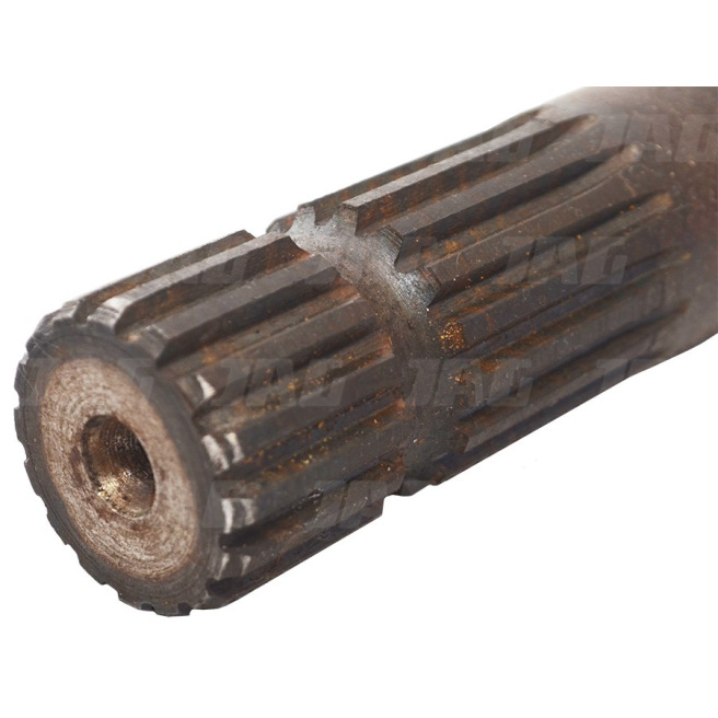 JAG01-0270 WaÅ‚ waÅ‚ka WOM