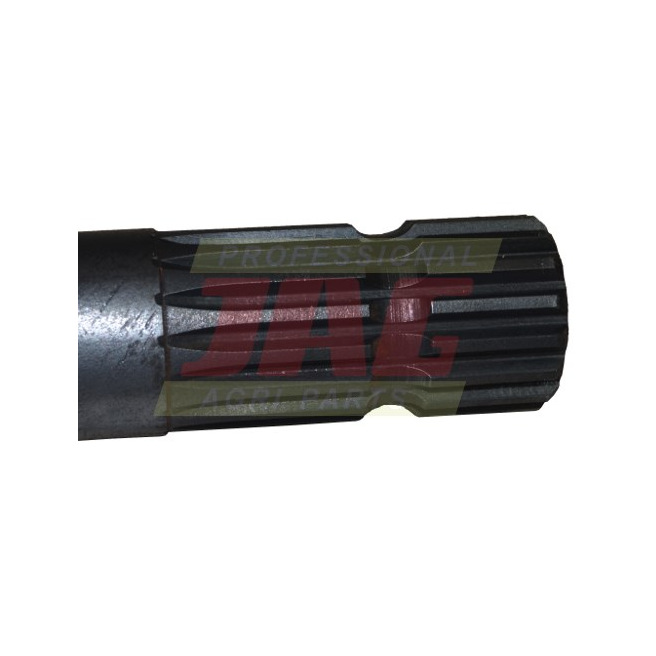 JAG04-0487 WaÅ‚ek