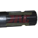 JAG04-0487 WaÅ‚ek